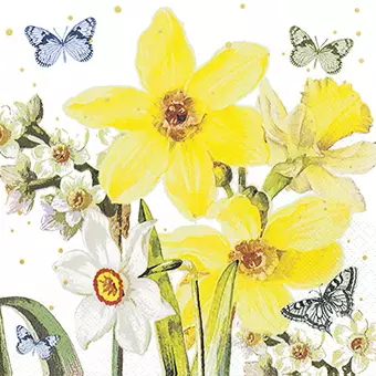 Watercolor Narcissus