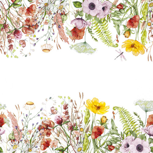 Field of Flowers