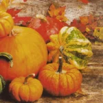 thumbnail Pumpkins