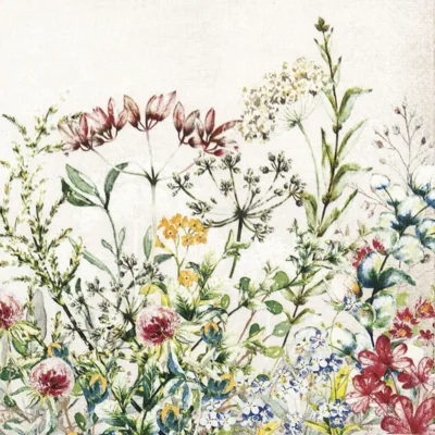 Wild Meadow