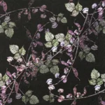 thumbnail Haricot Bean