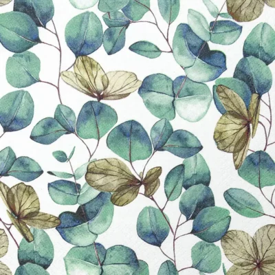 Eucalyptus Leaves