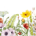 thumbnail Field of Flowers