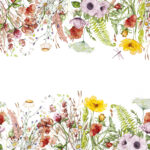 thumbnail Field of Flowers