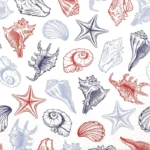 Vorschaubild Seashells