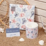 Vorschaubild Seashells