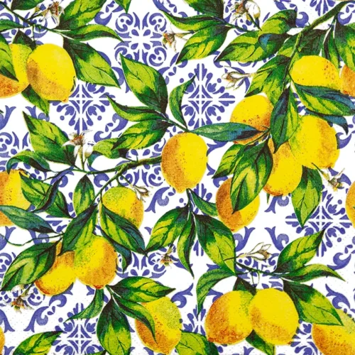 Citrus Branches on Tiles