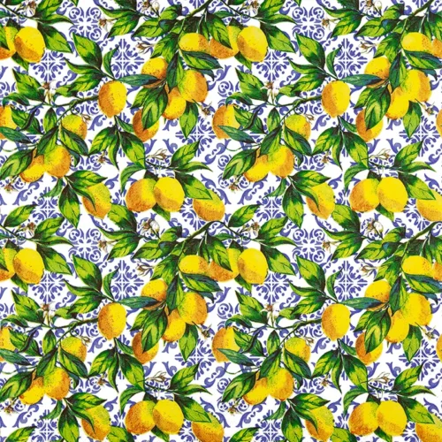 Citrus Branches on Tiles
