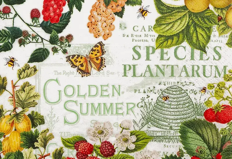 Summer Fruits foobar