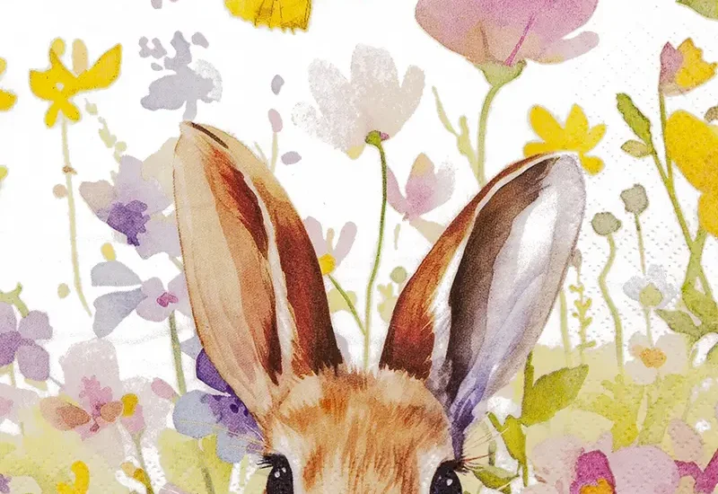 Bunny in Meadow foobar