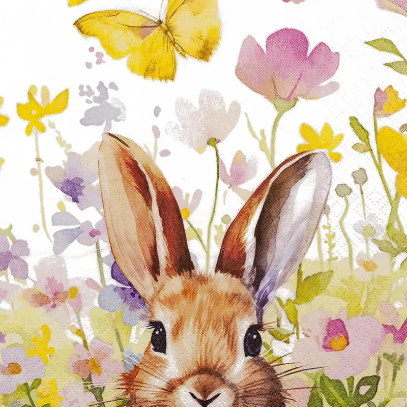 Bunny in Meadow
