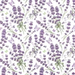 thumbnail Lovely Lavender