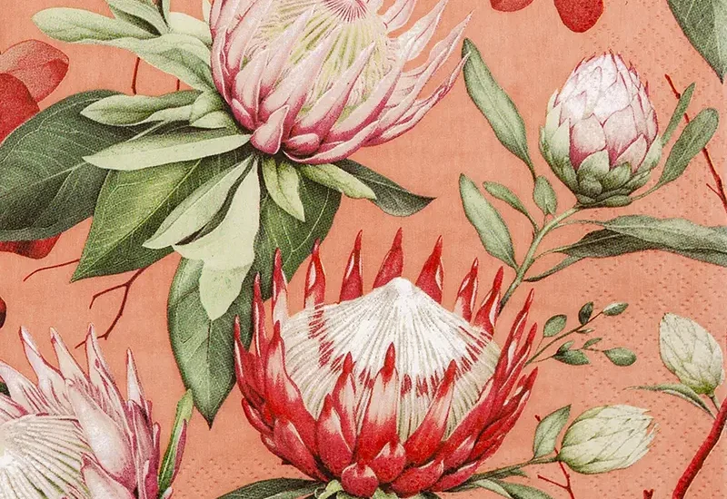 Madiba Protea coral foobar