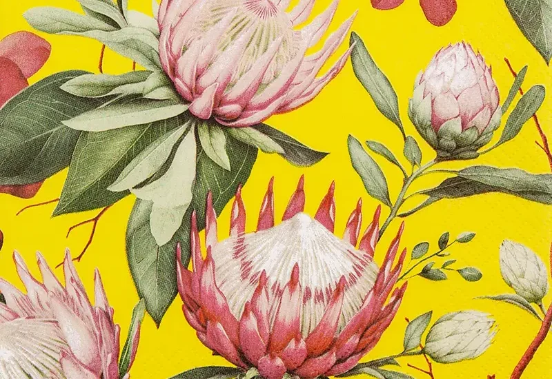 Madiba Protea coral foobar