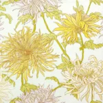 thumbnail Chrysanthemum