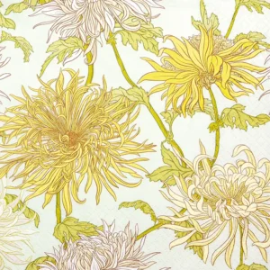 Chrysanthemum