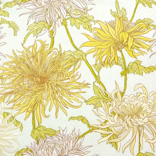 Chrysanthemum
