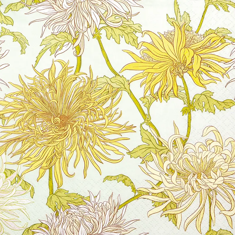 Chrysanthemum