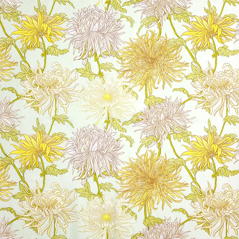 Chrysanthemum