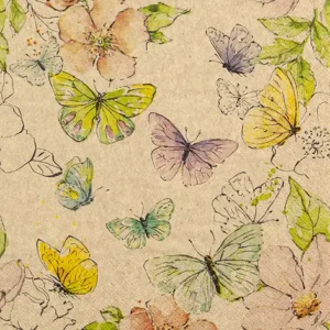 Colourful Butterflies