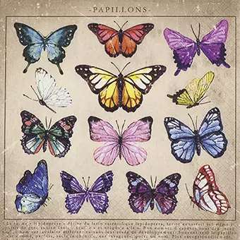 Papillons