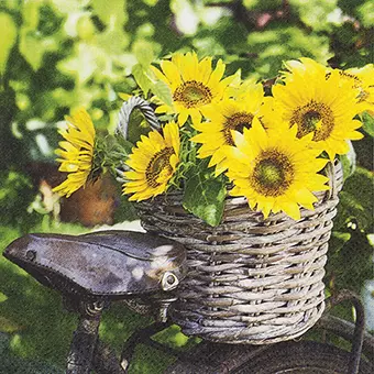 Sunny Flower