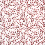 Vorschaubild Little Berries