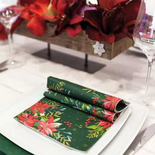 Traditional Poinsettia
