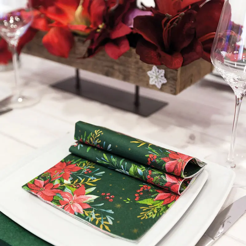 Traditional Poinsettia