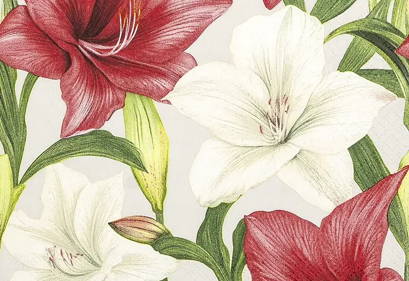 Floral Duo foobar