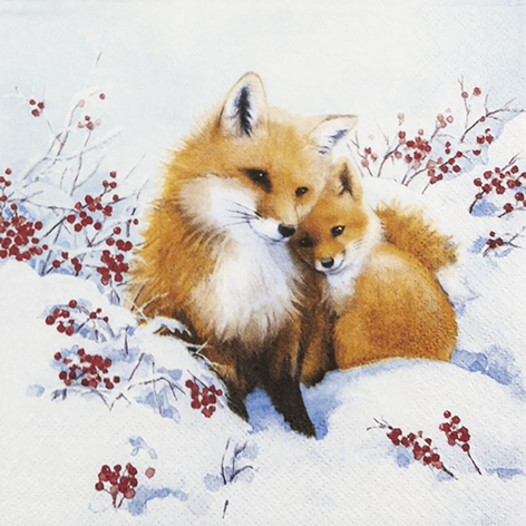 Fox Family