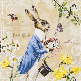 Mr. Rabbit