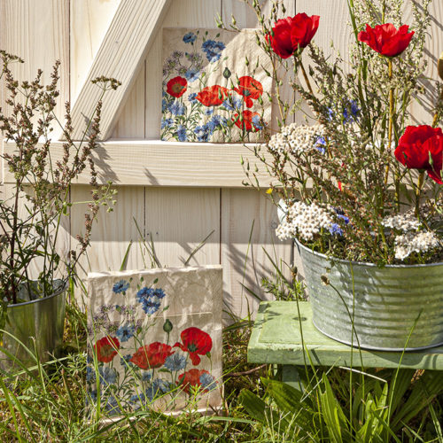 Wild Poppies
